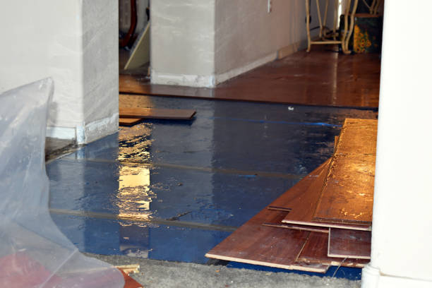 Professional Basement Flood Cleanup technician working in Freeman, MO